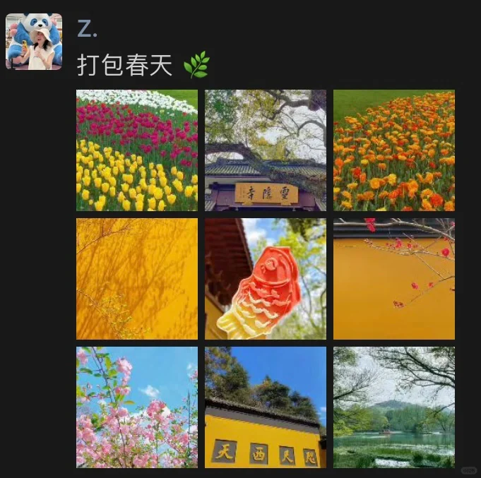 50款手机APP｜带你实现美照自由啦👋🏻