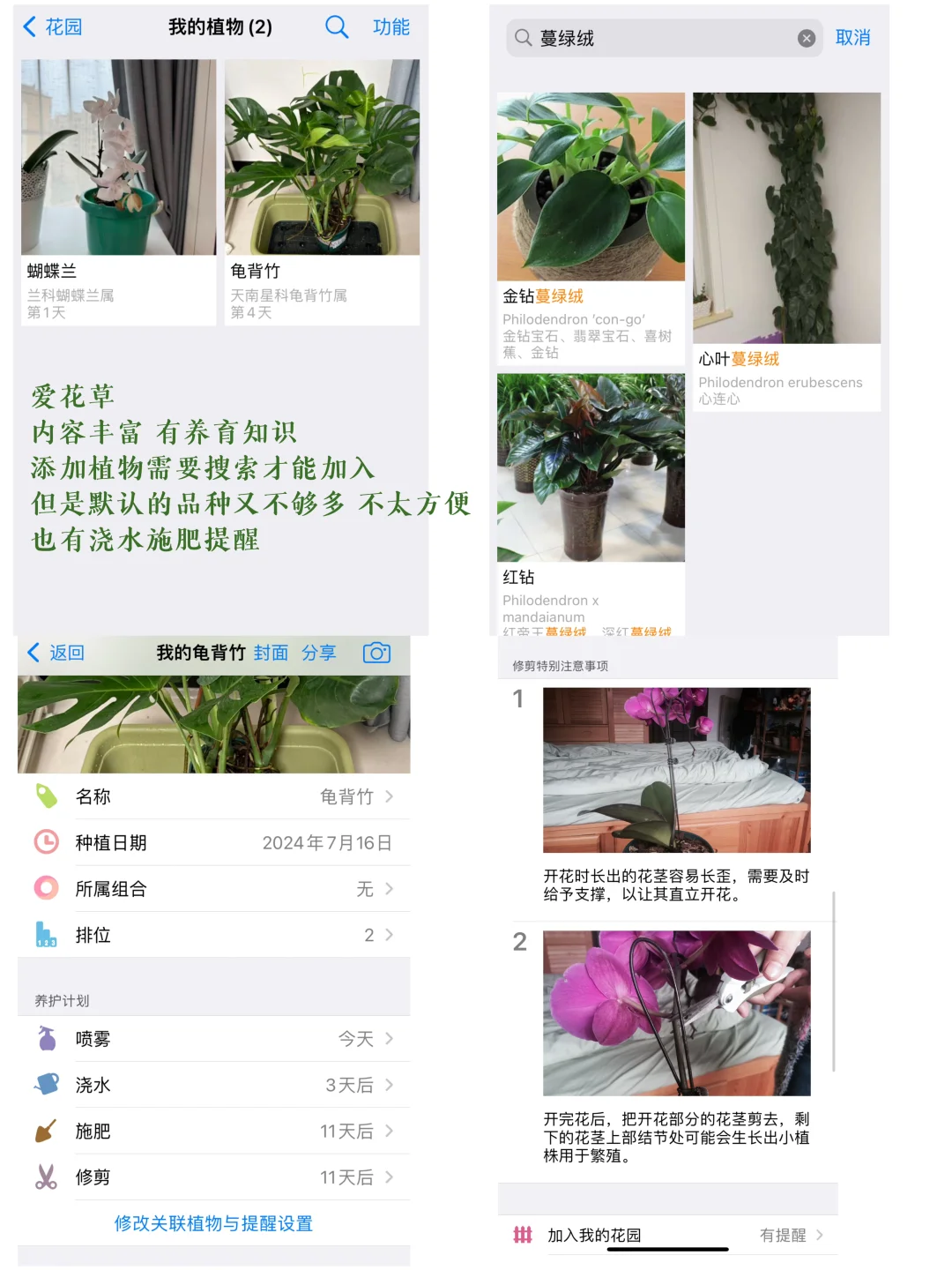 植物小白绿植app试用分享