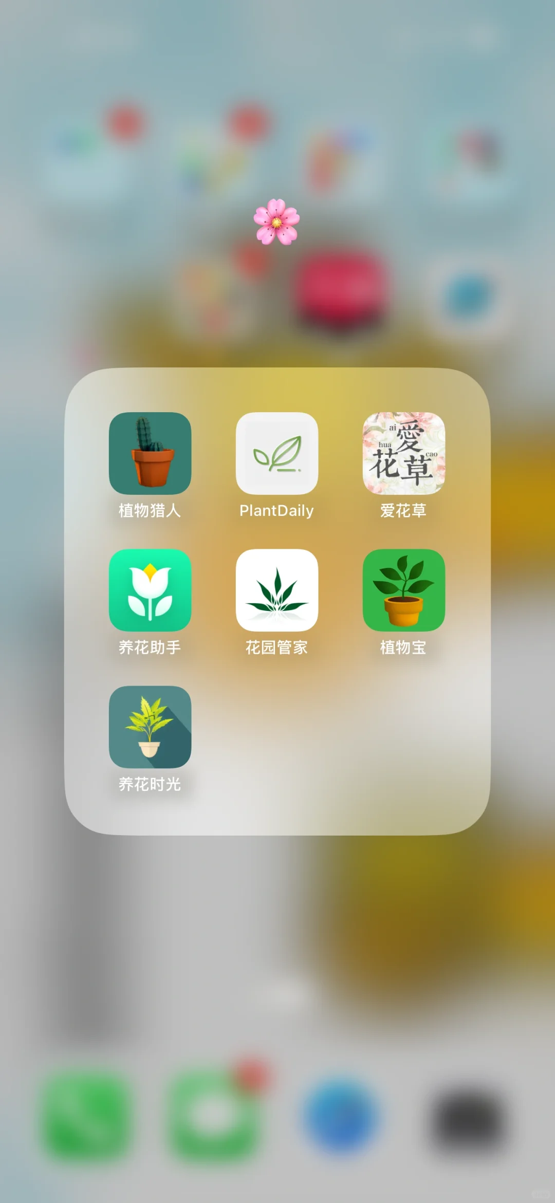 植物小白绿植app试用分享