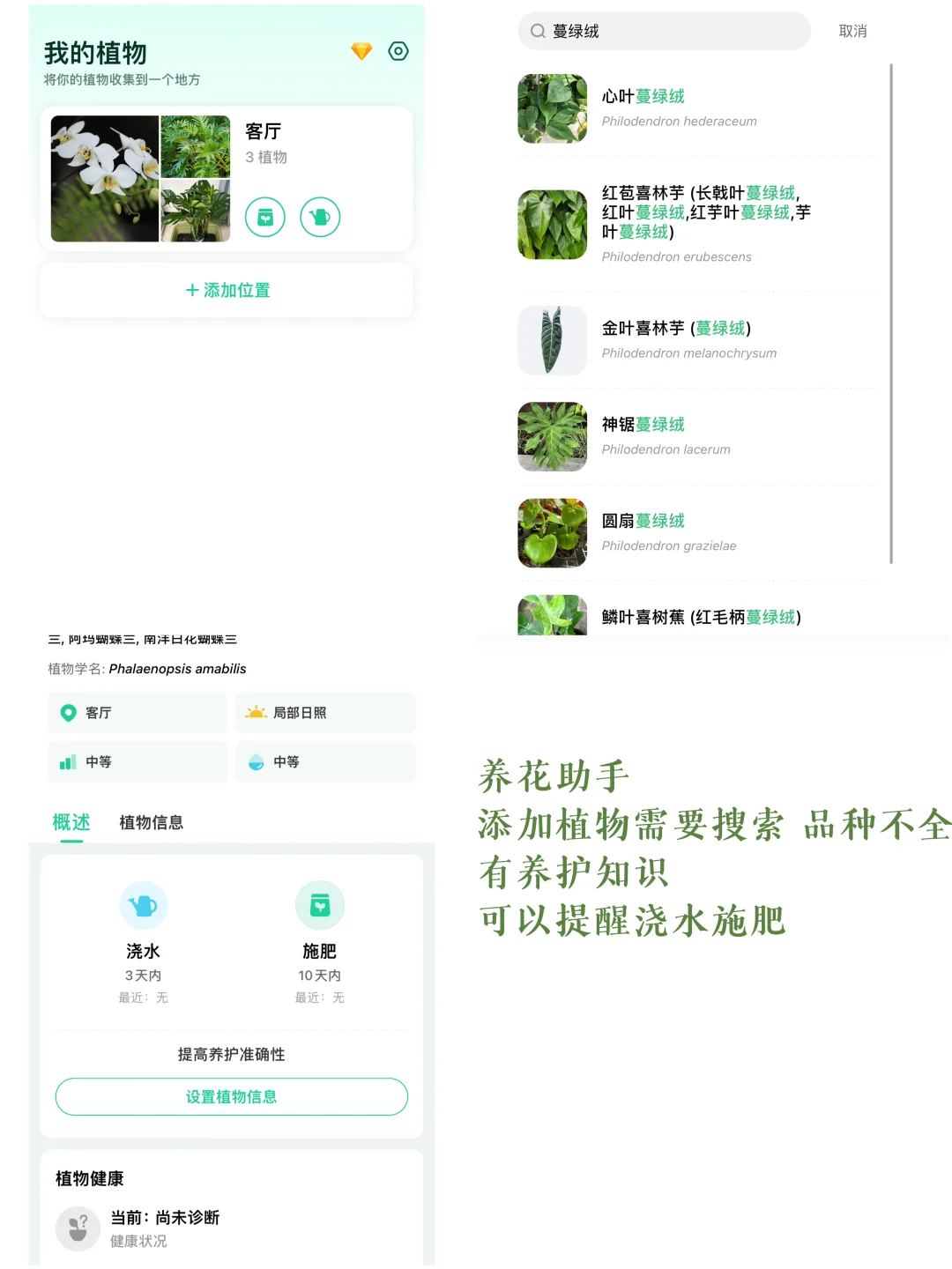 植物小白绿植app试用分享