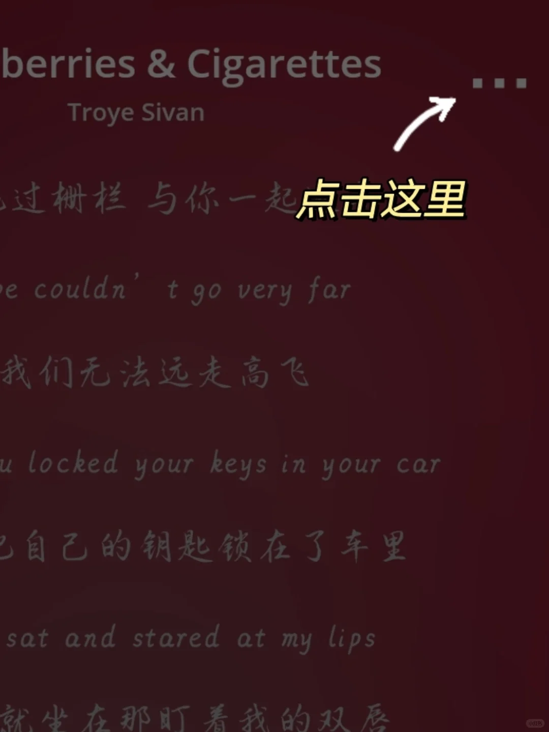 安卓‼️不足6MB的免费🆓听歌软件‼️