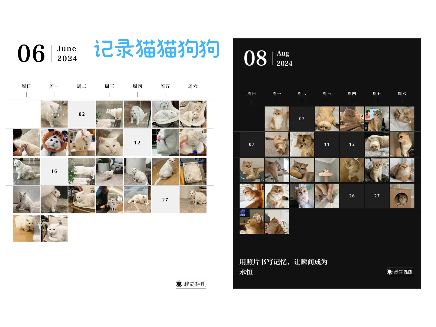 听说这是J人的梦中情app??