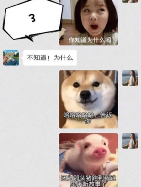 安卓女孩必备的实用app，再也不用羡慕ios‼️