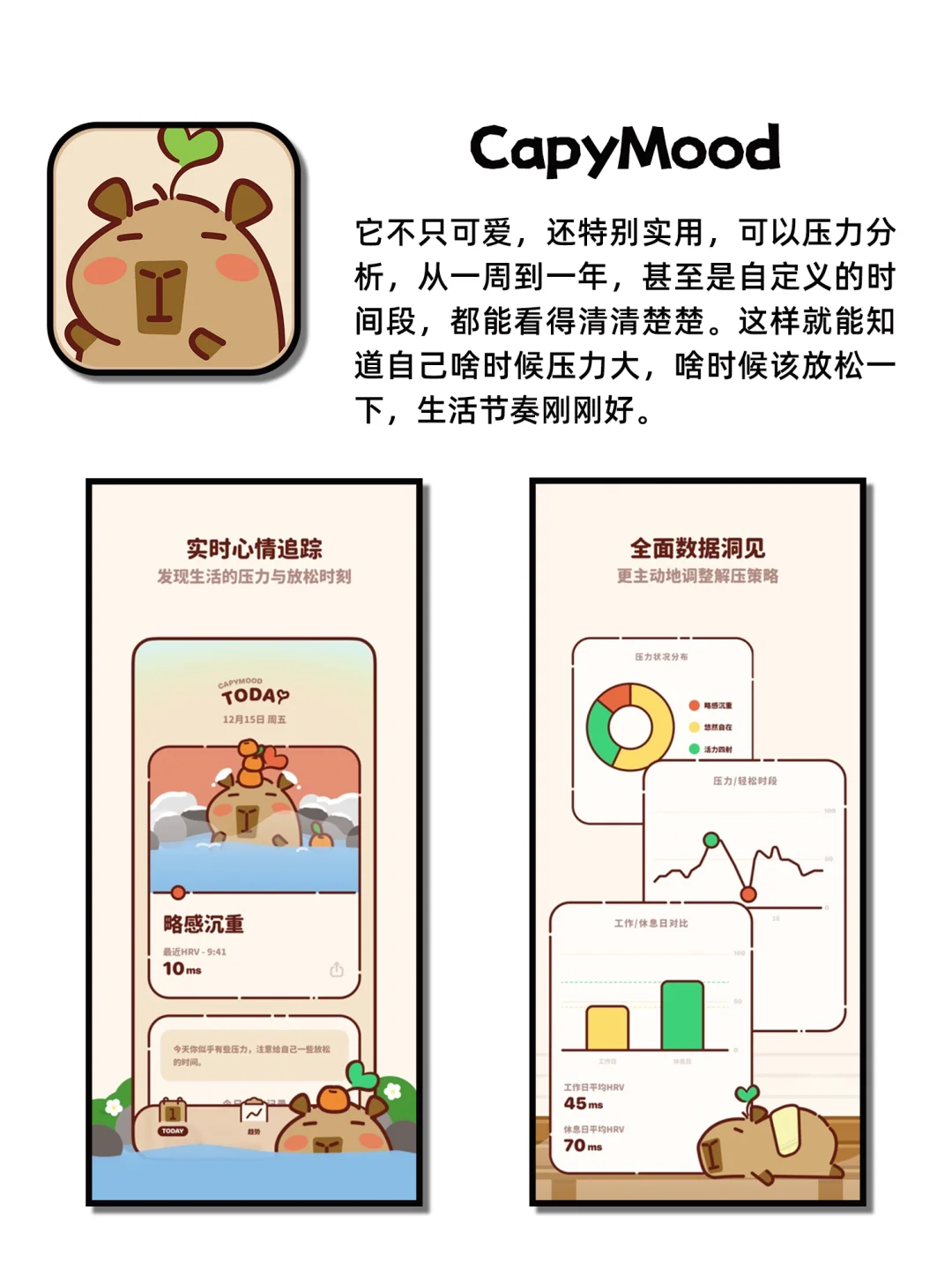 有趣又实用的神仙宝藏APP