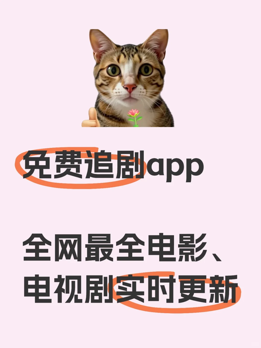 这个寒假一起来追剧趴!!