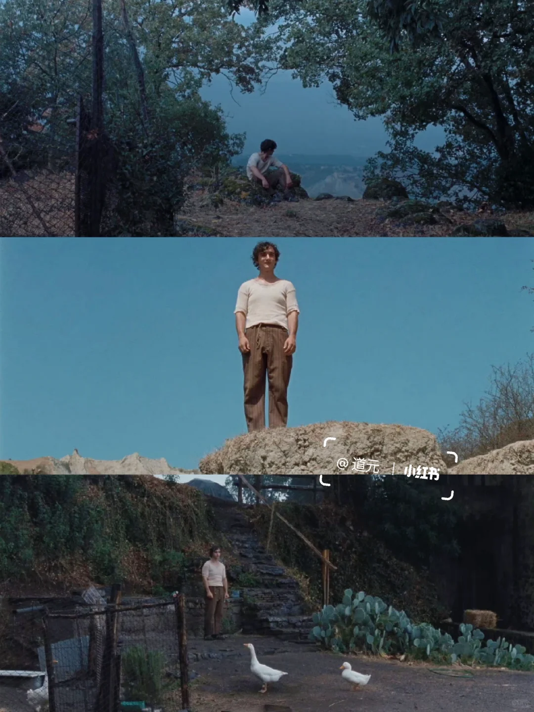 近期最爱的电影❗️后劲好大❗哭到泪崩😭