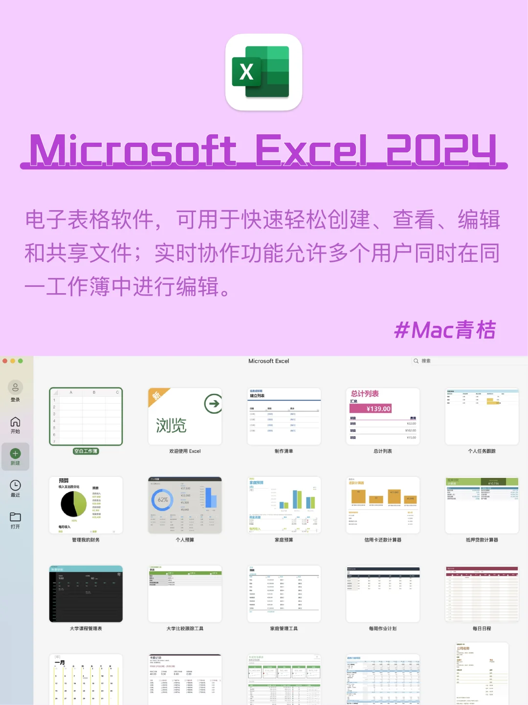 Mac电脑｜office2024全家桶💻让你办公更高效