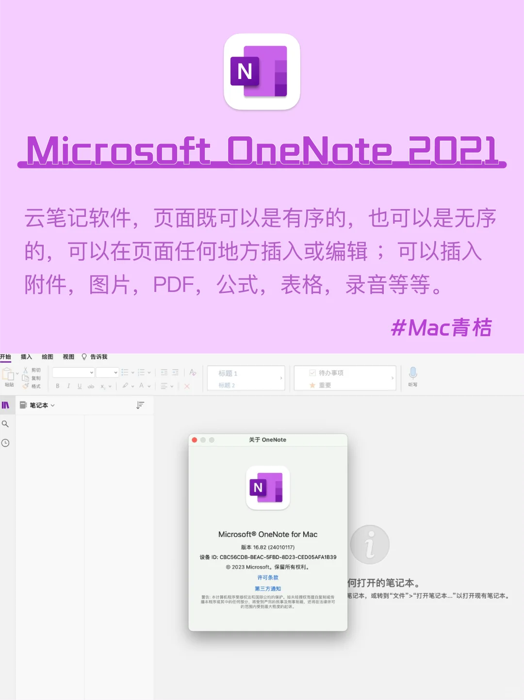 Mac电脑｜office2024全家桶💻让你办公更高效