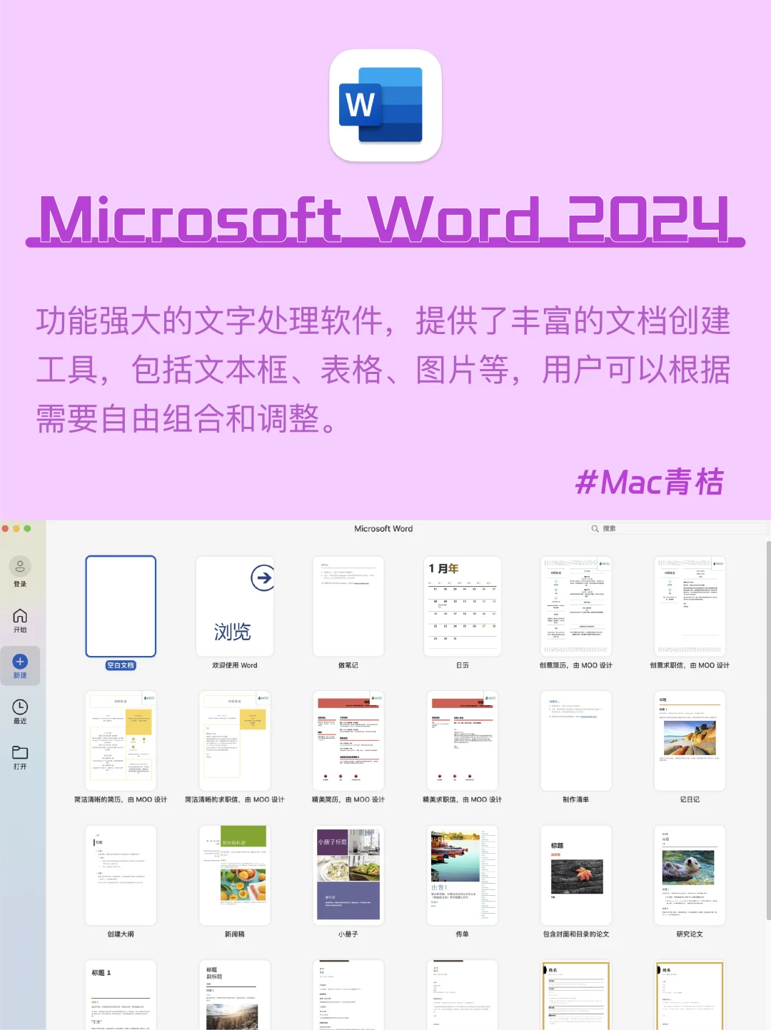 Mac电脑｜office2024全家桶💻让你办公更高效