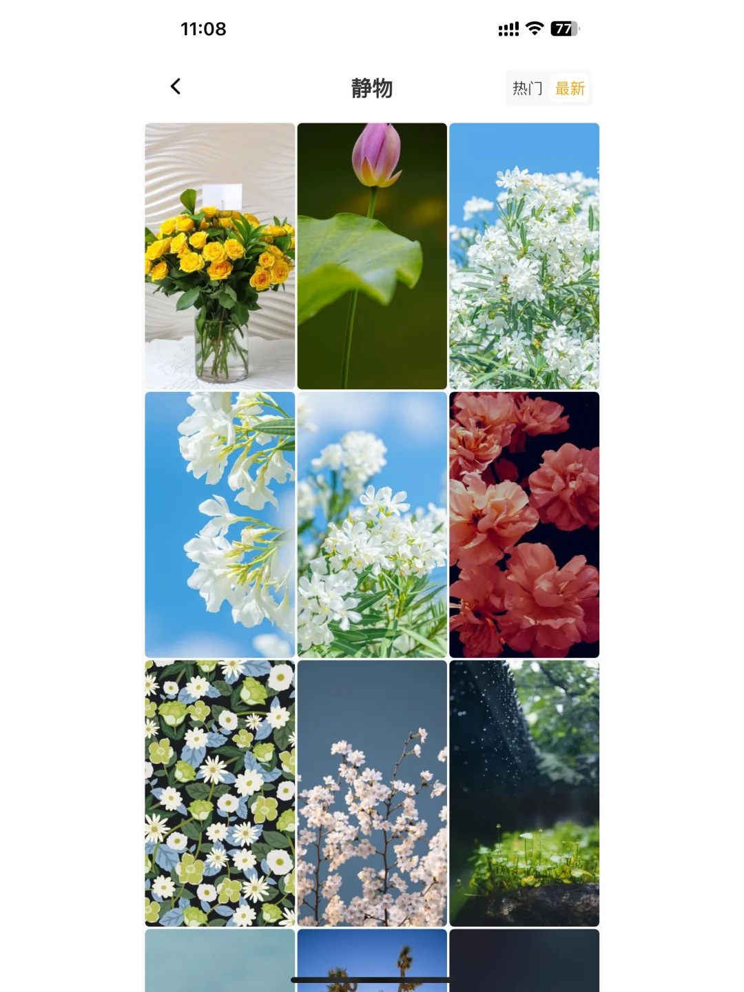 分享一个壁纸软件 绝绝子！！