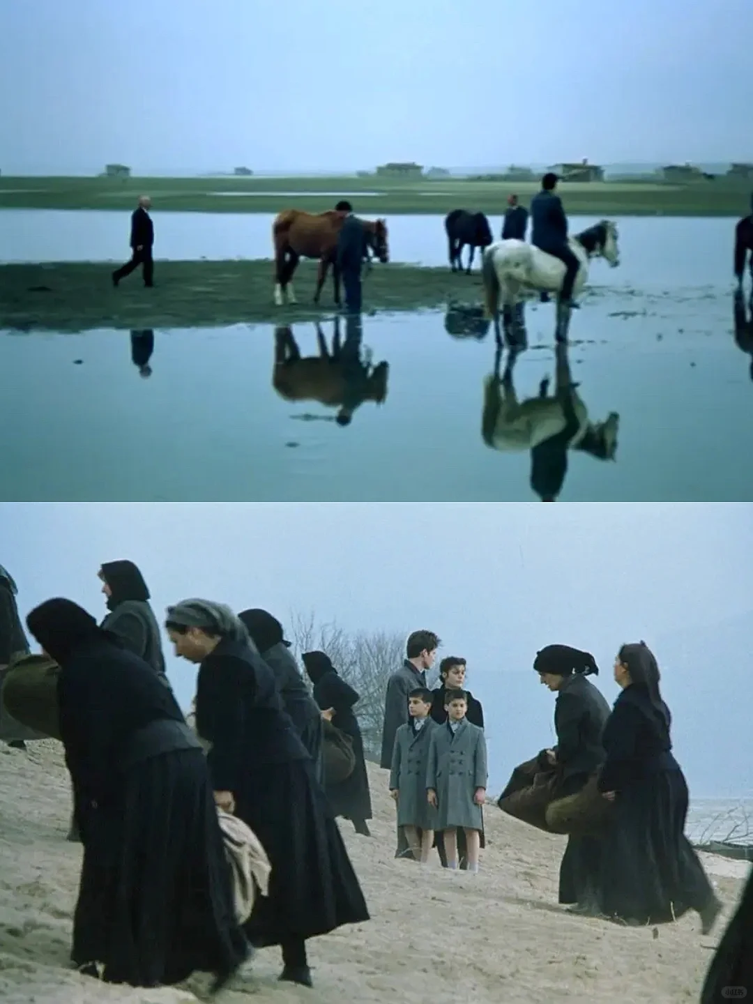 美到失语！😭本i人的年度电影出现了！！