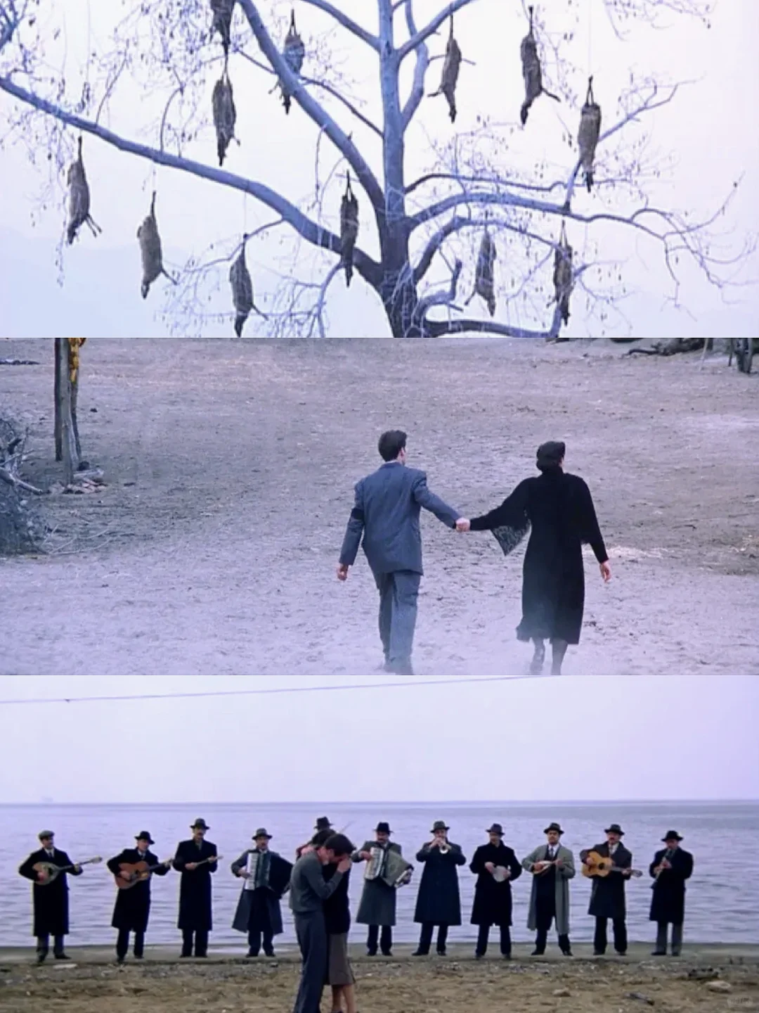 美到失语！😭本i人的年度电影出现了！！