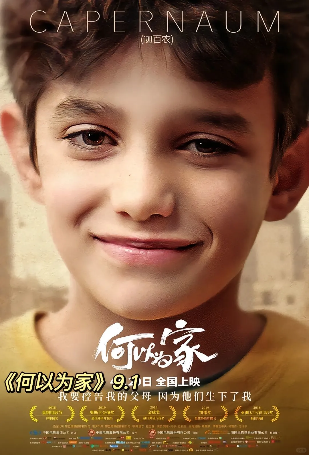 电影合集丨高分电影🎞️