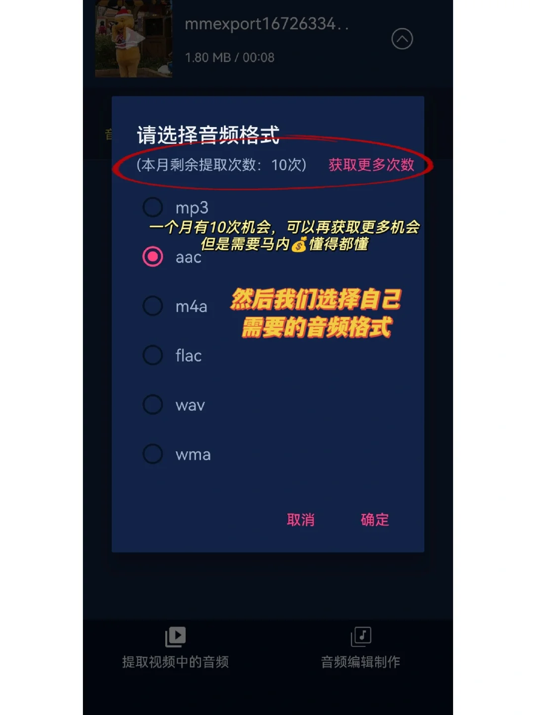 视频里的音源没上线？直接用音频提取器完事
