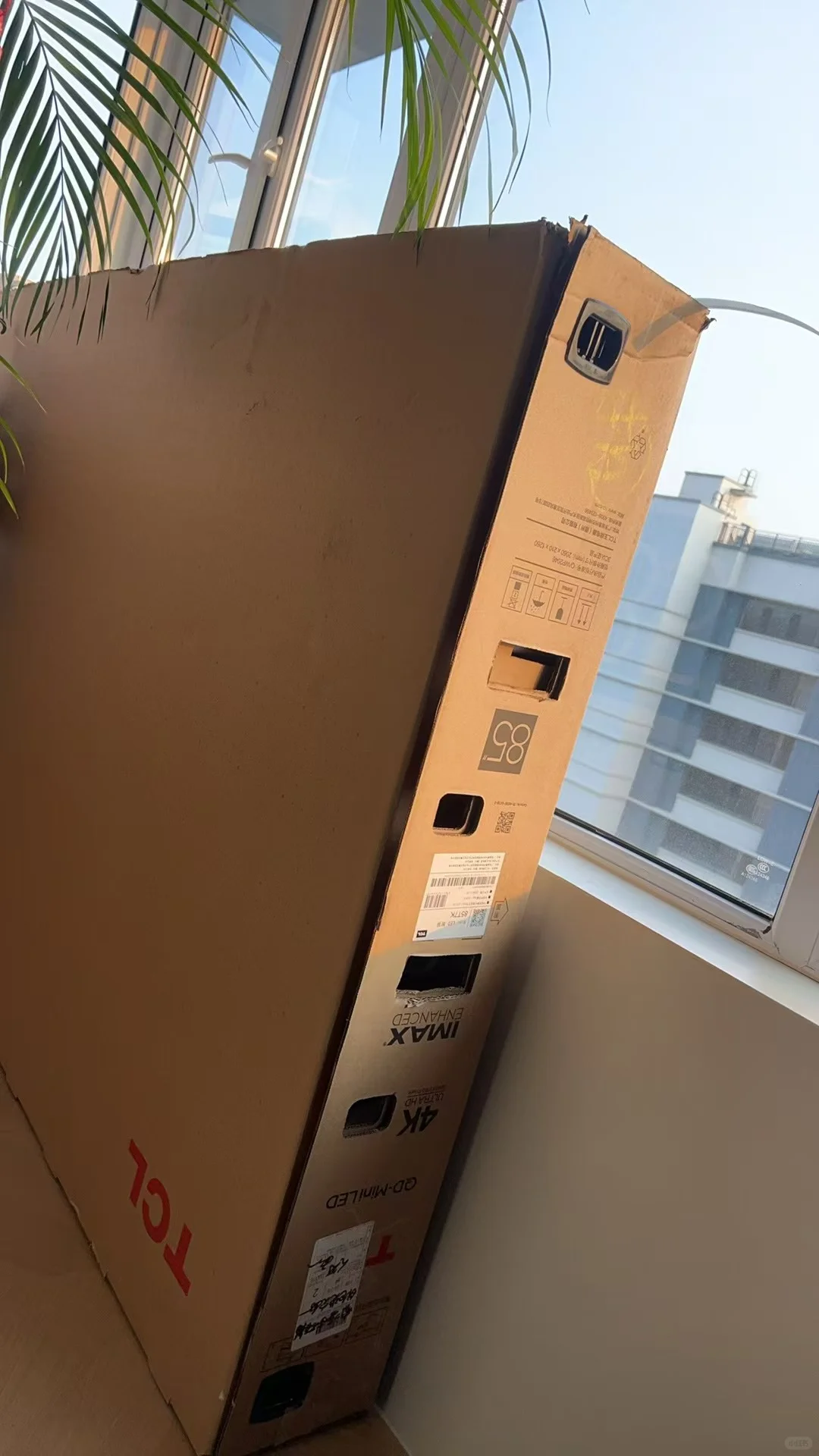 听说电视机纸盒子能卖，我也来试试！