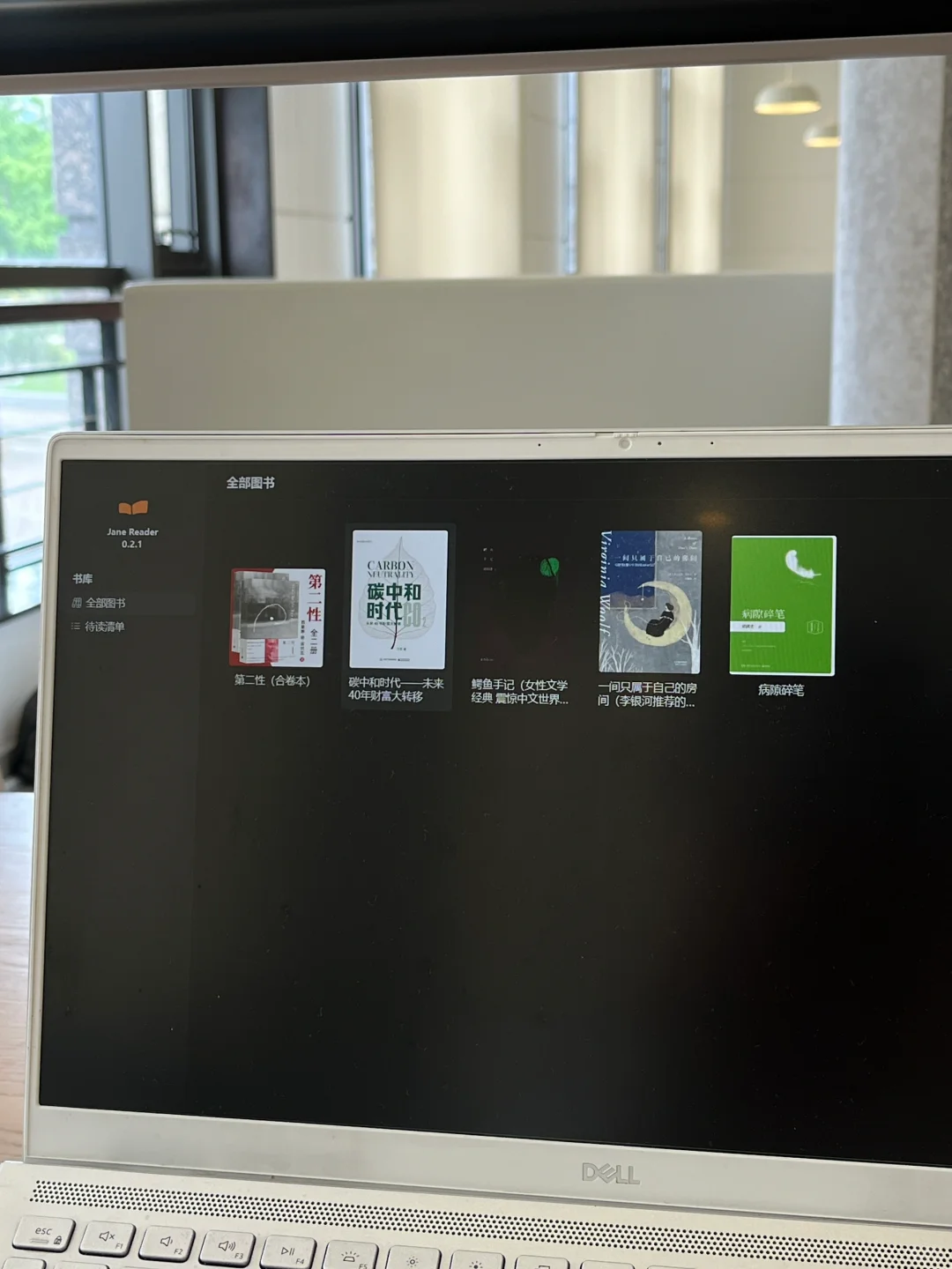 目前windows端最喜欢的epub阅读器