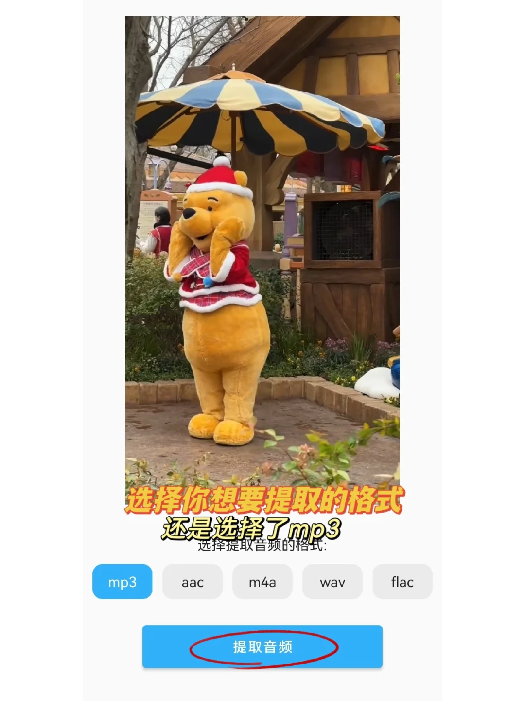 视频里的音源没上线？直接用音频提取器完事