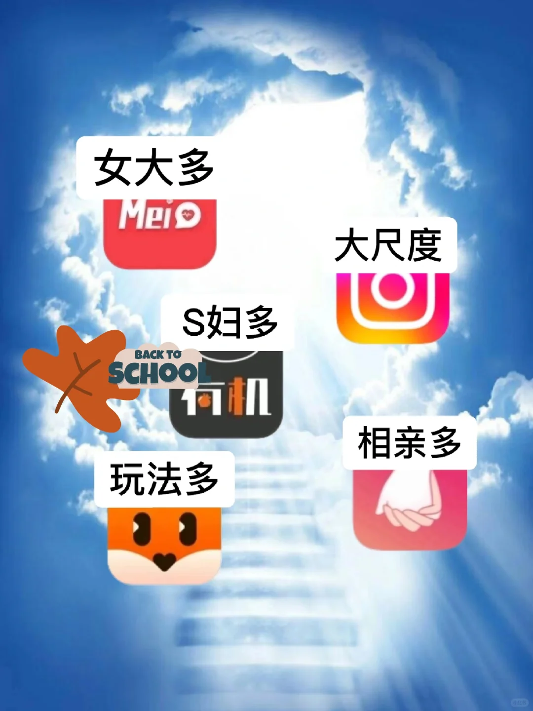 100天社交软件亲测使用感总结