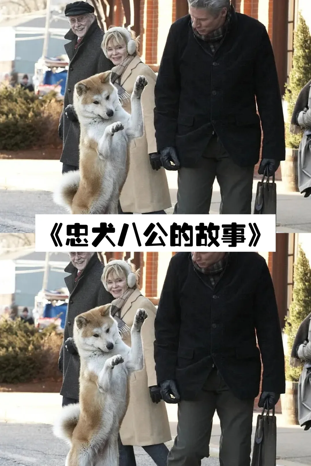 看完泪目的电影