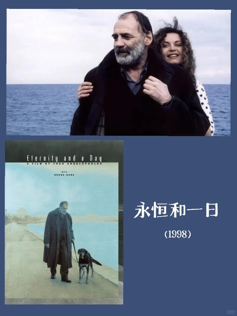 看了260部电影的一年，记录我的top10：