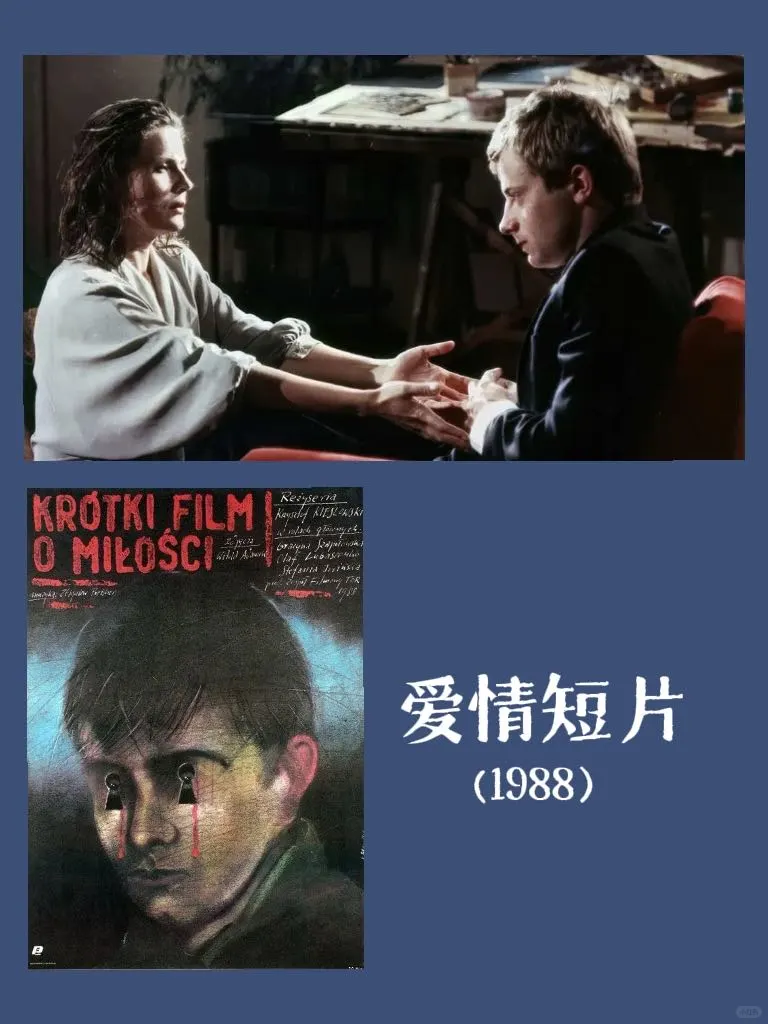 看了260部电影的一年，记录我的top10：