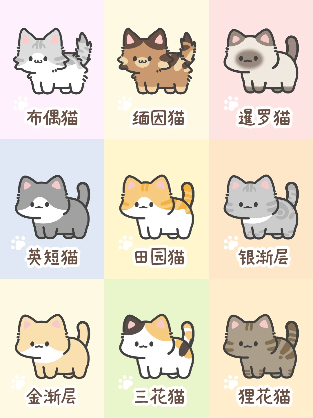 打工暂停｜请选择你的猫猫🐈