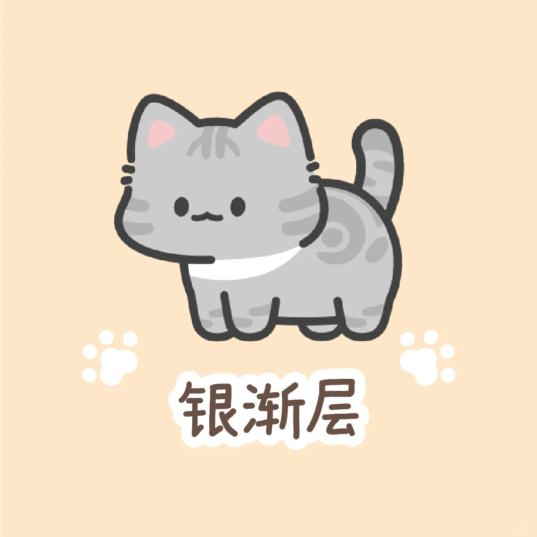 打工暂停｜请选择你的猫猫🐈