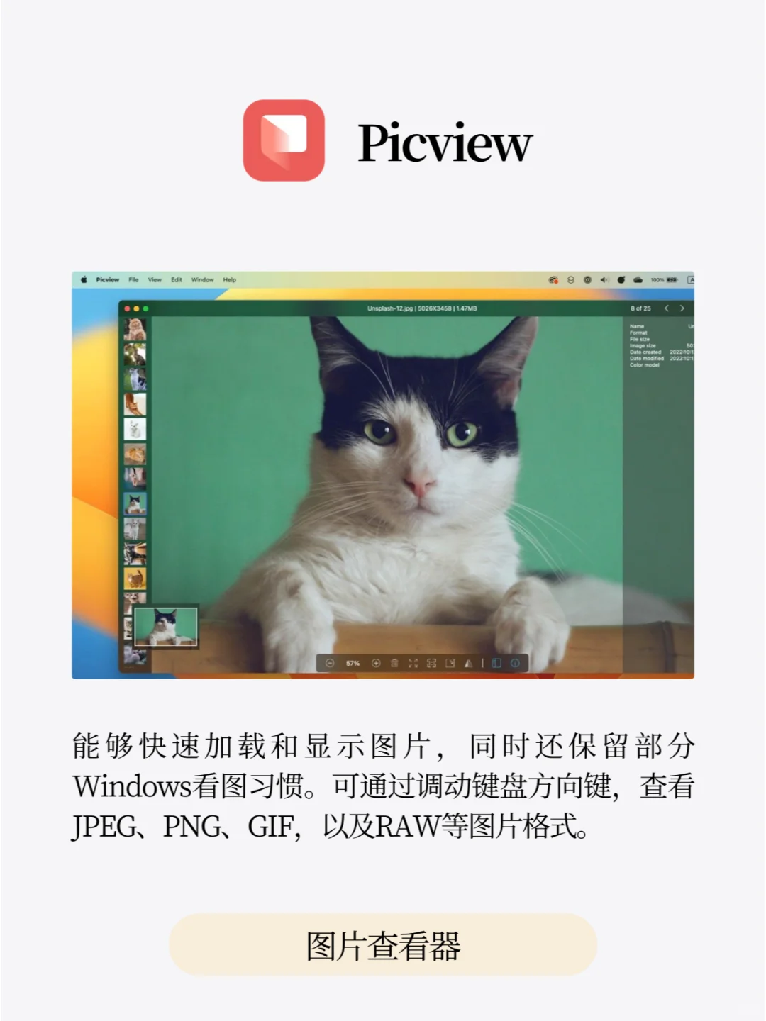 Mac上实用且必装的app❗真的爱不释手