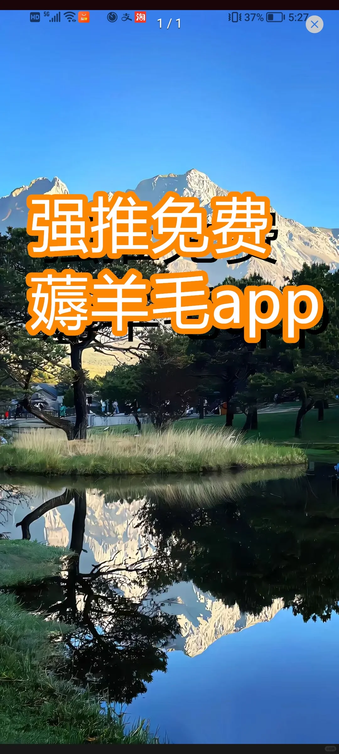 薅羊毛进行时，好物魅力无限。