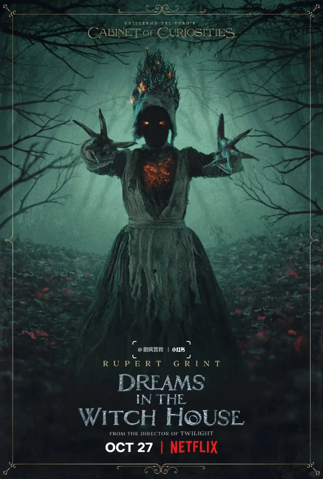 妈耶❗️一集一个超自然故事🆘网飞鲨疯了