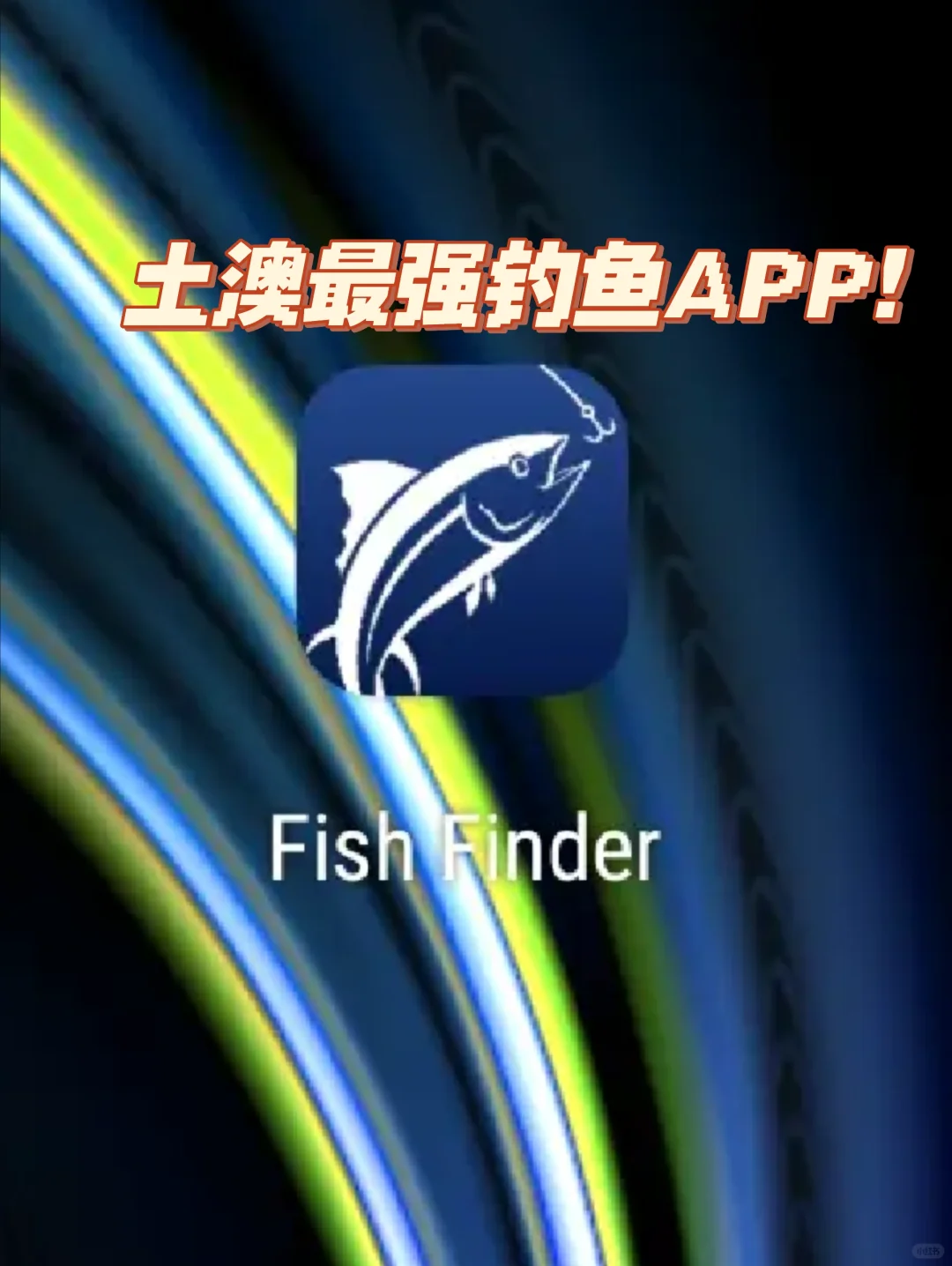 发现一个澳洲必备的🎣钓鱼APP