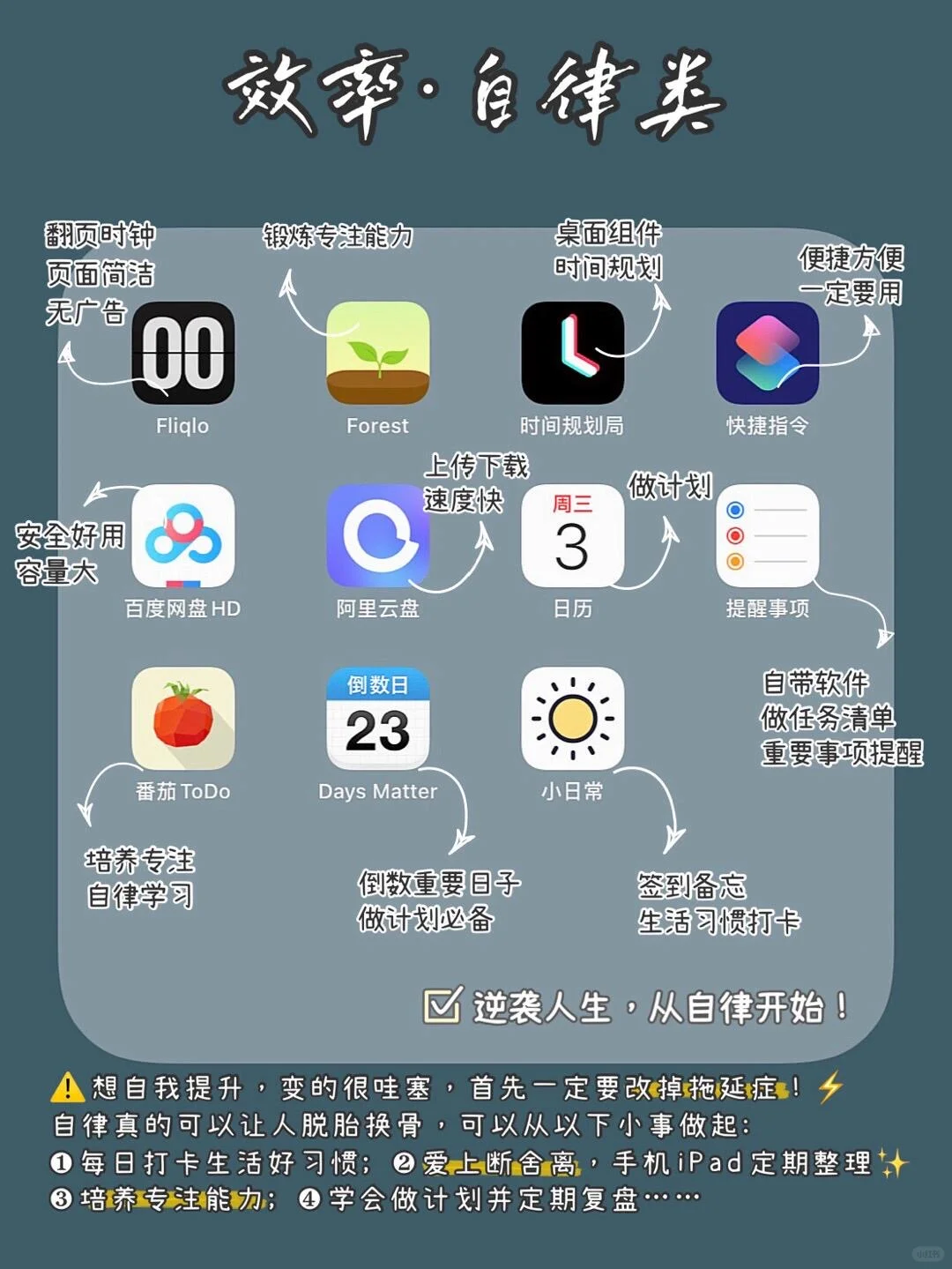 学生必备APP｜假期提升必备APP💯逆袭必看✅