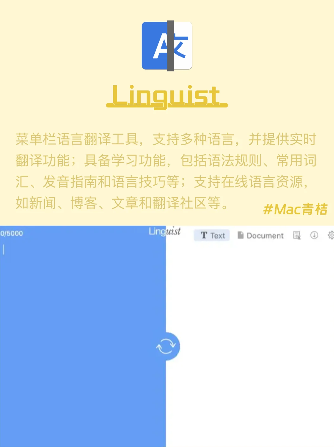 Mac电脑｜词典翻译软件🌏快速解决语言障碍‼️