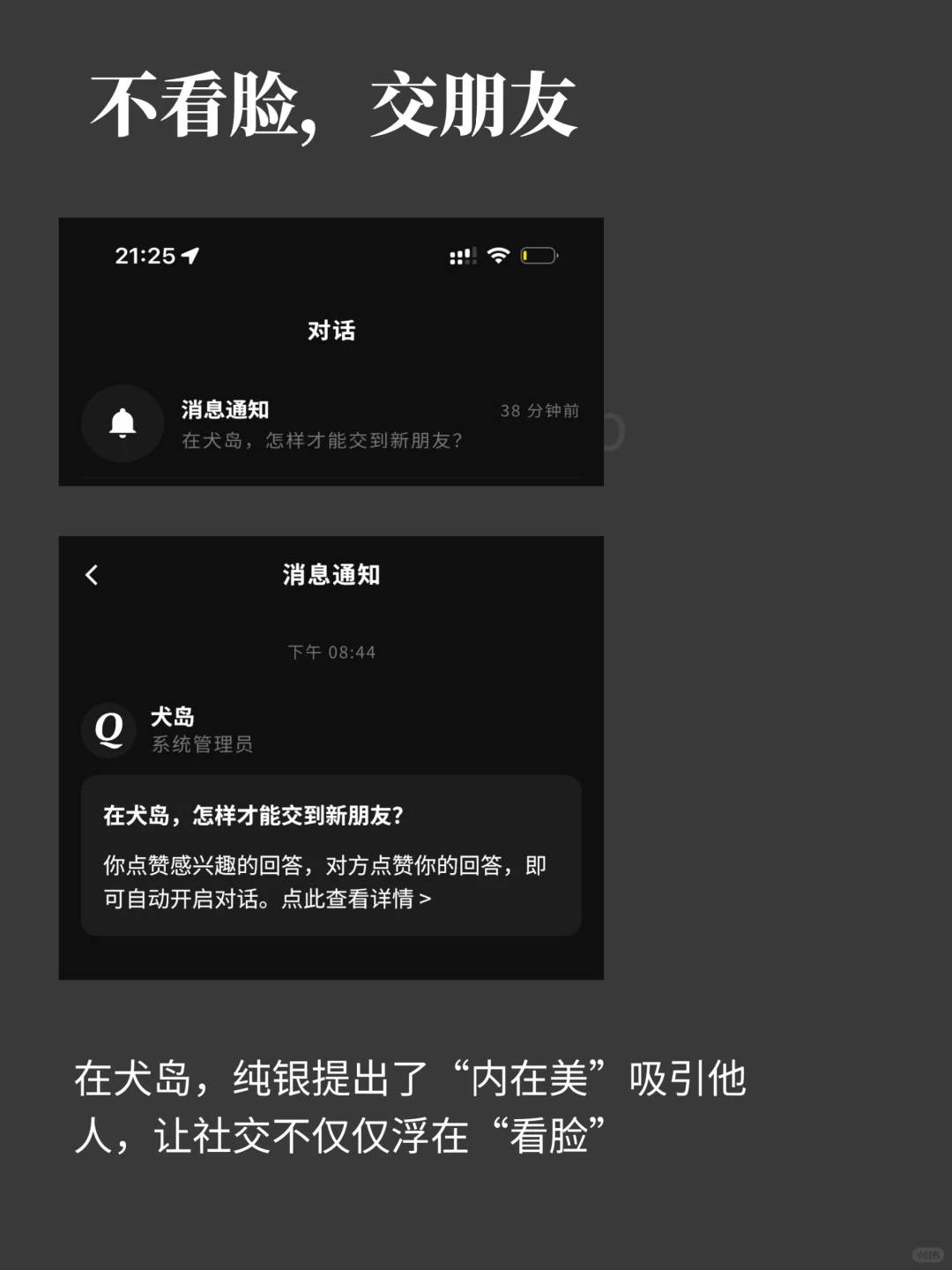 这款不看脸的社交App:犬岛,有什么不同?