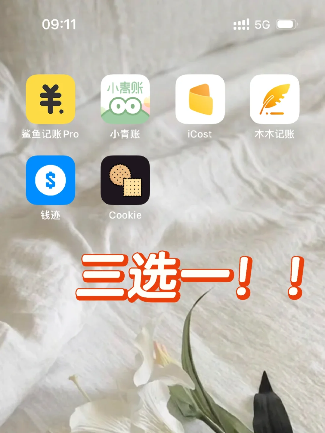 icost，小青账，木木记账 决赛三选一！