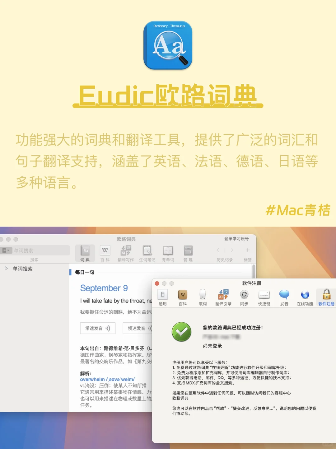 Mac电脑｜词典翻译软件🌏快速解决语言障碍‼️
