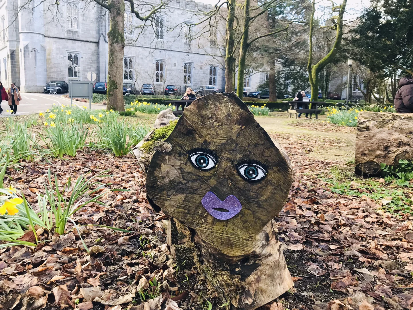 爱尔兰🇮🇪—生活常用app篇（自我而言）