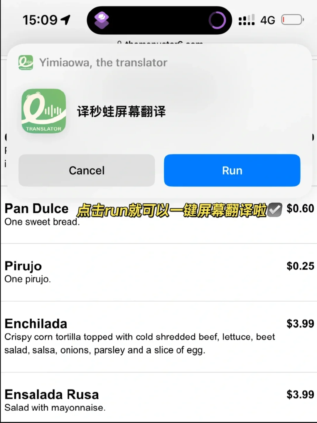 苹果🆓实时屏幕翻译‼️用来学英语绝了