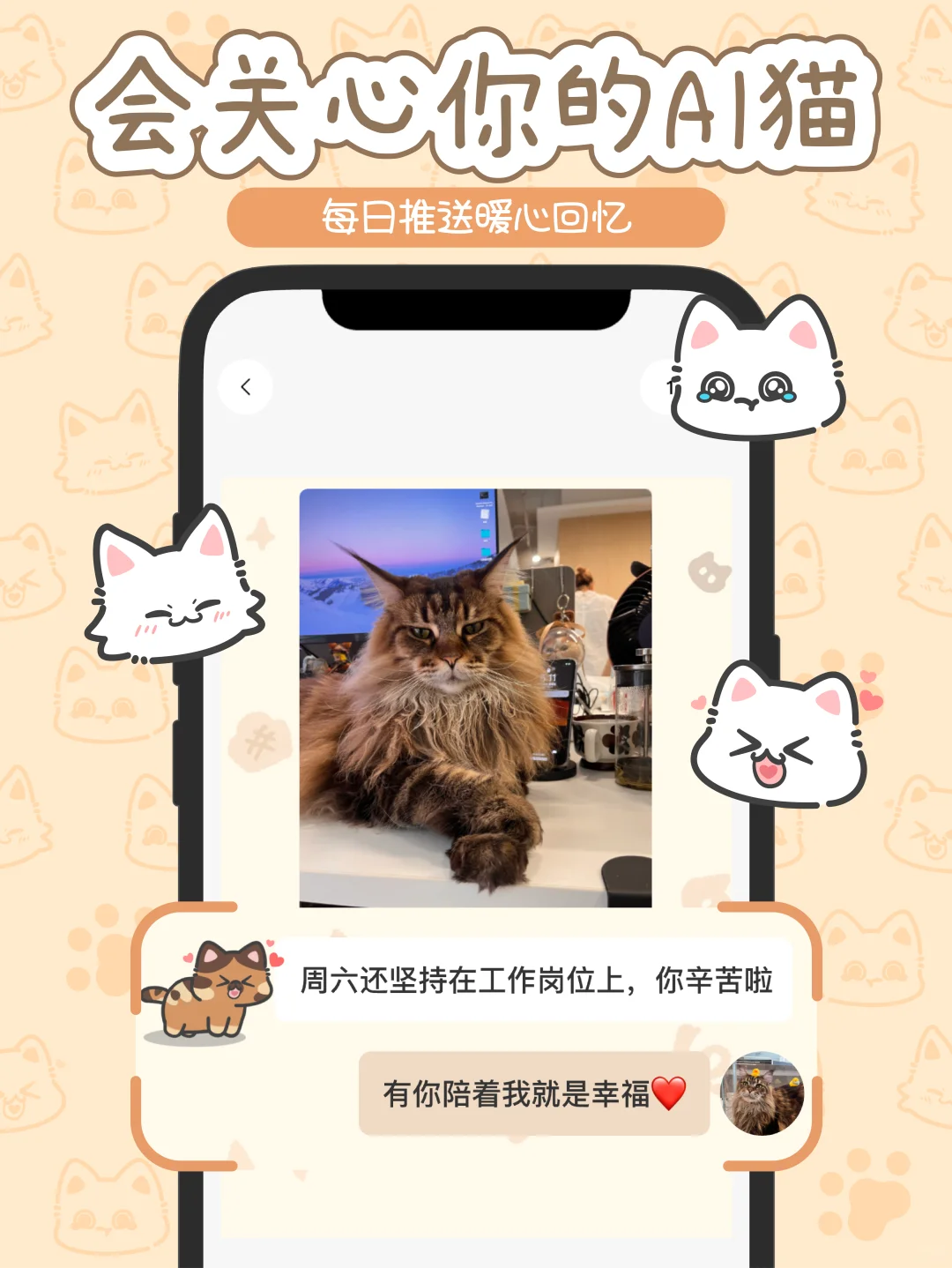 为了小猫的时刻陪伴,这个Ai猫咪app诞生了🐱