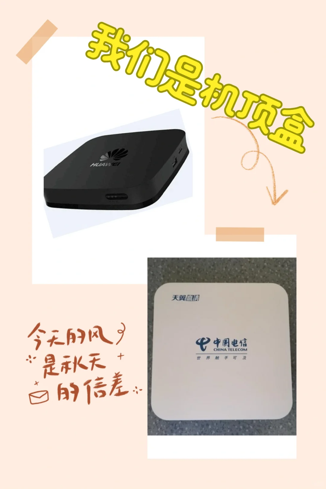 原来它叫这个名字,你知道它的作用吗?