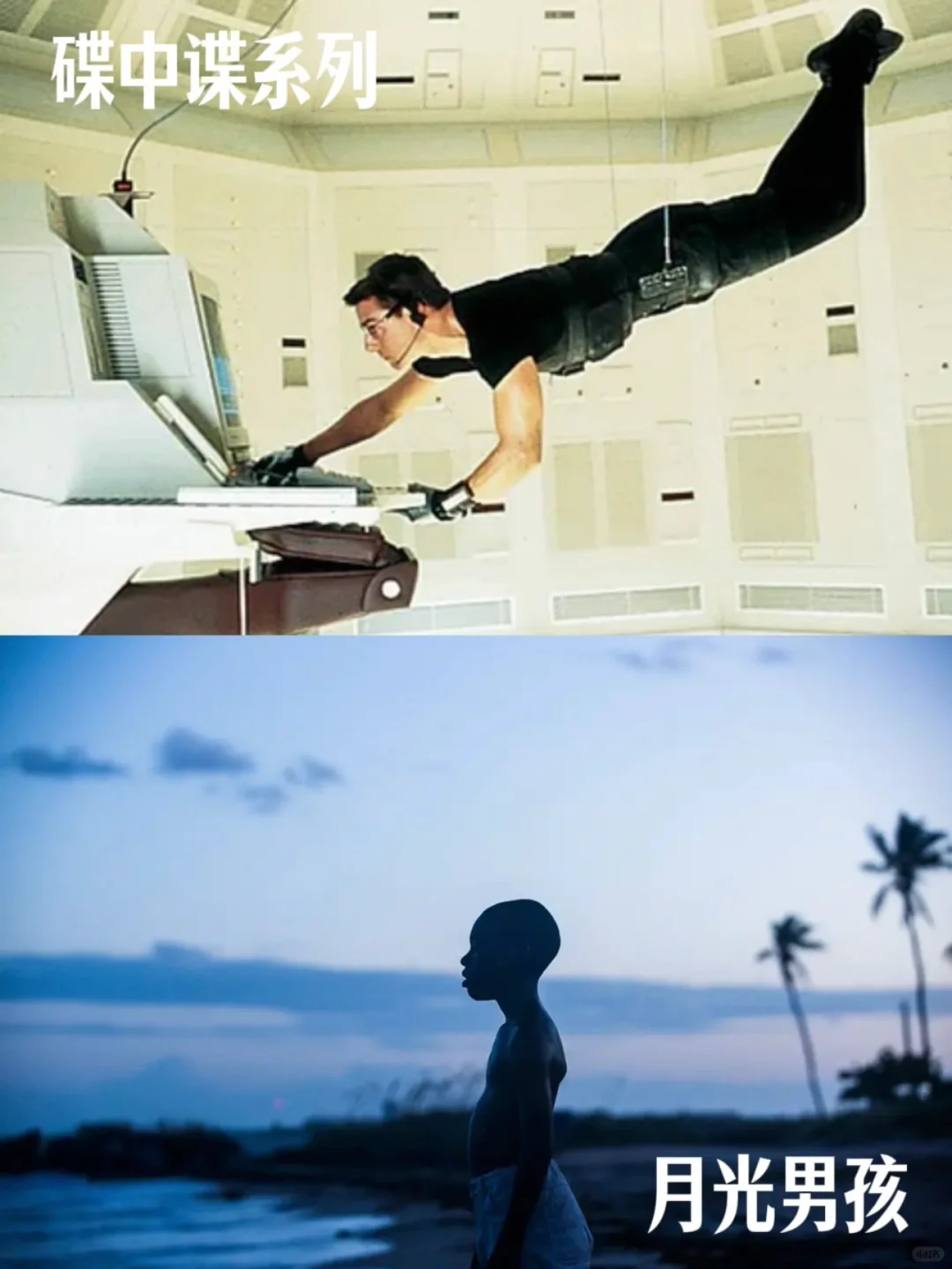 大师片单！PTA 推荐的 39 部电影