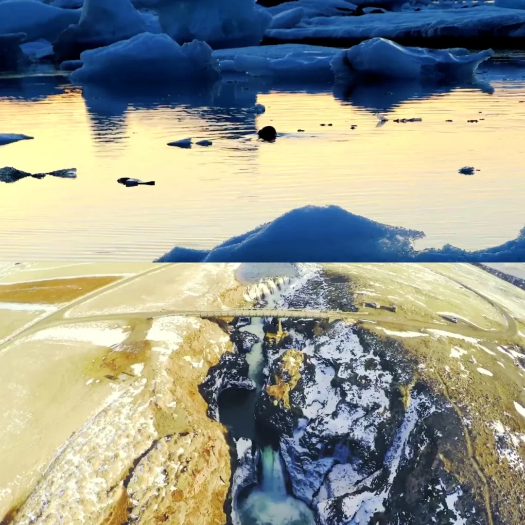 这个APP真的让我开了眼了❗❗❗❗