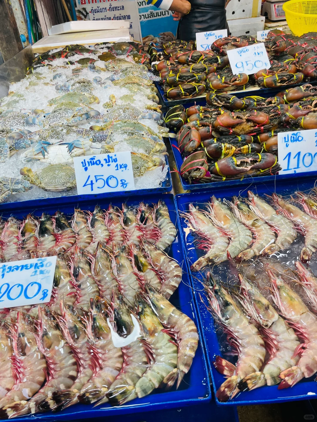 老挝旅行国内手机下载不了软件如何解决?