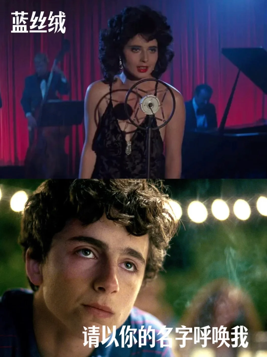 大师片单！PTA 推荐的 39 部电影