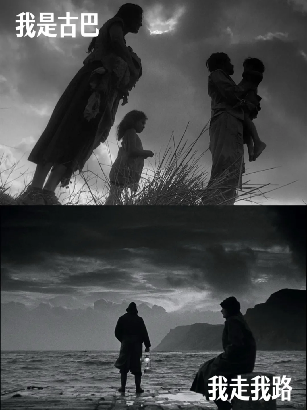 大师片单！PTA 推荐的 39 部电影