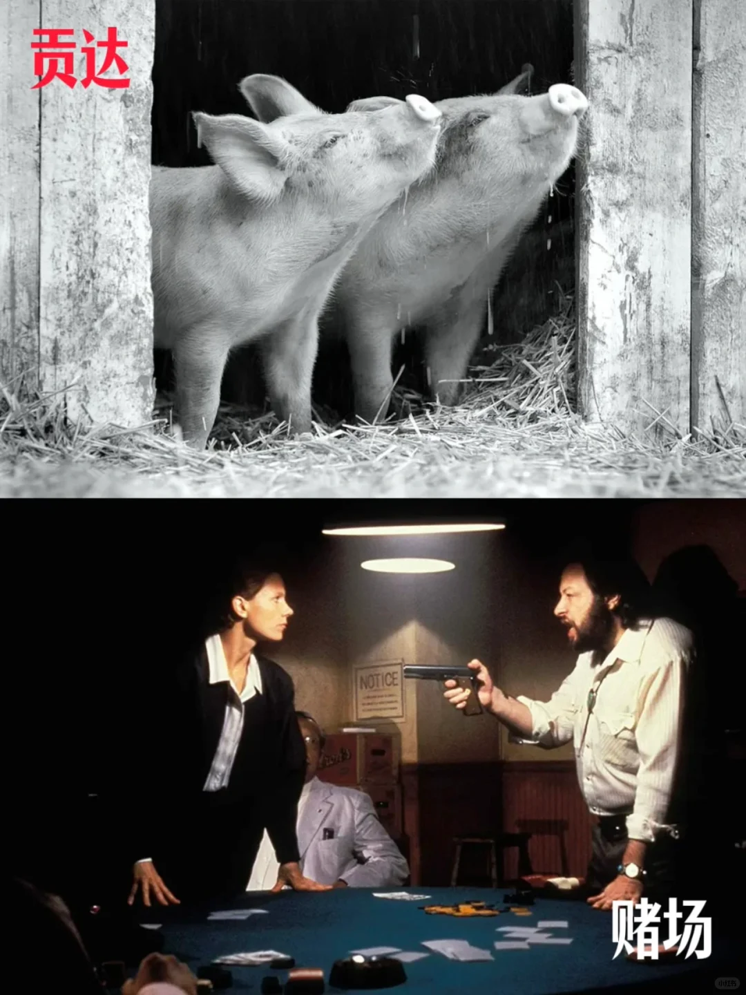 大师片单！PTA 推荐的 39 部电影