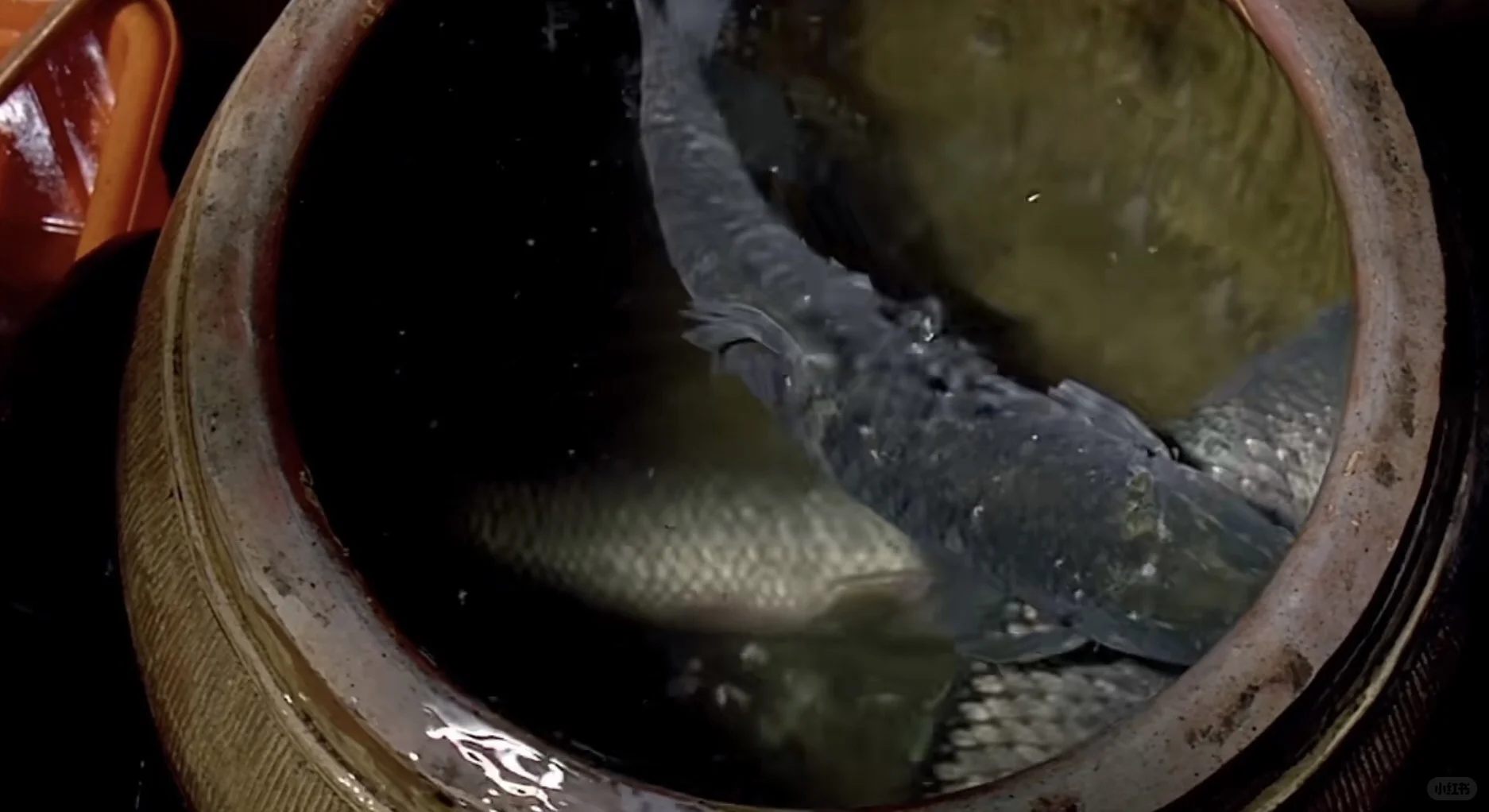 5⃣️3⃣️饮食在明,男女在暗。