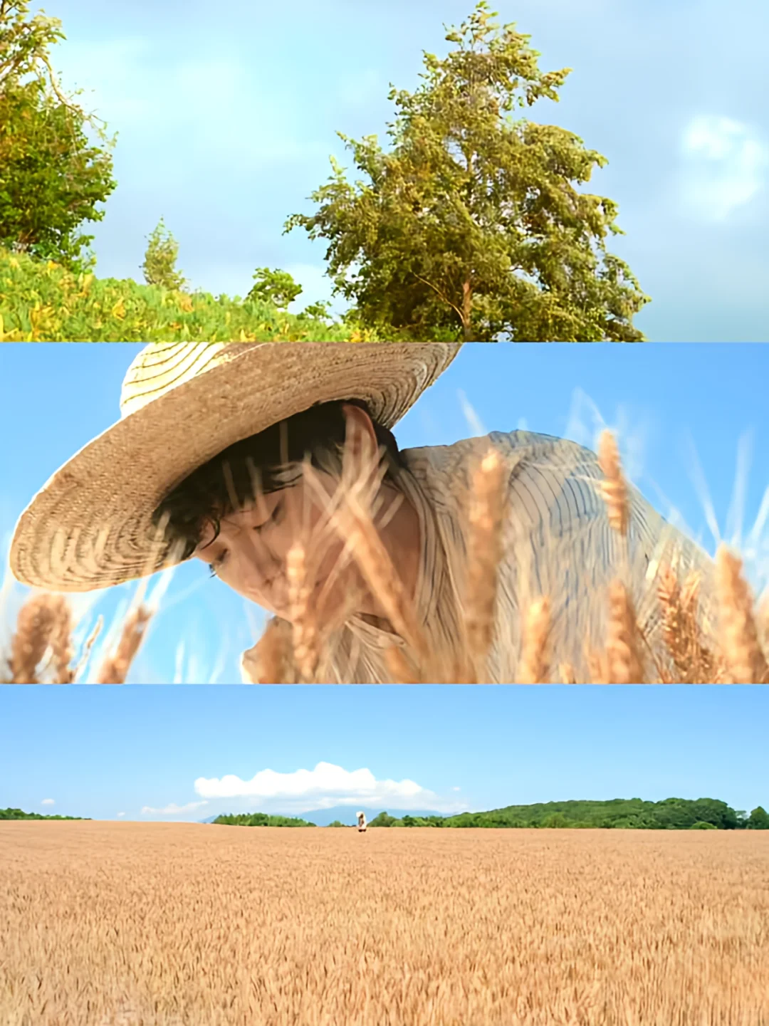 怎么会有这么好看的电影😭太治愈了🌈