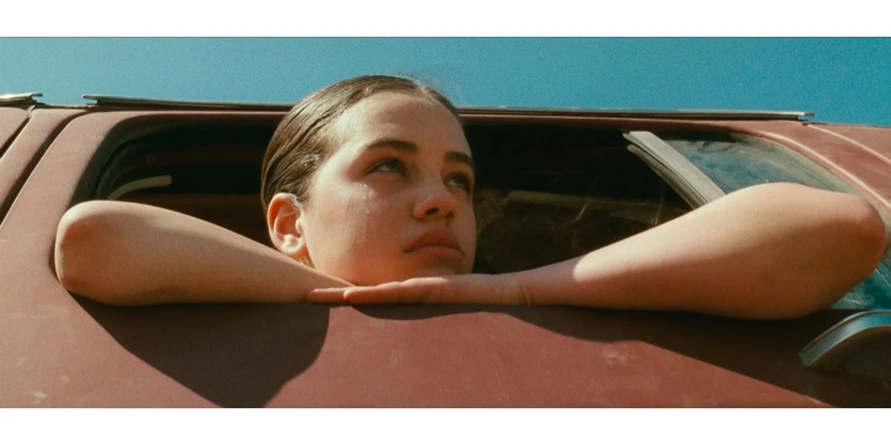 「自译电影推荐」威尼斯电影节入围影片