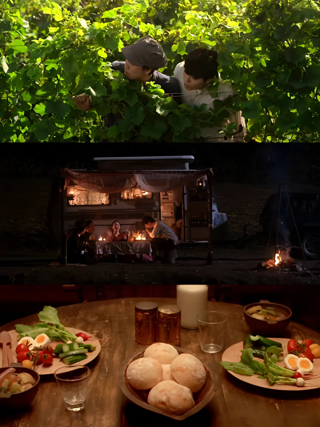 怎么会有这么好看的电影😭太治愈了🌈